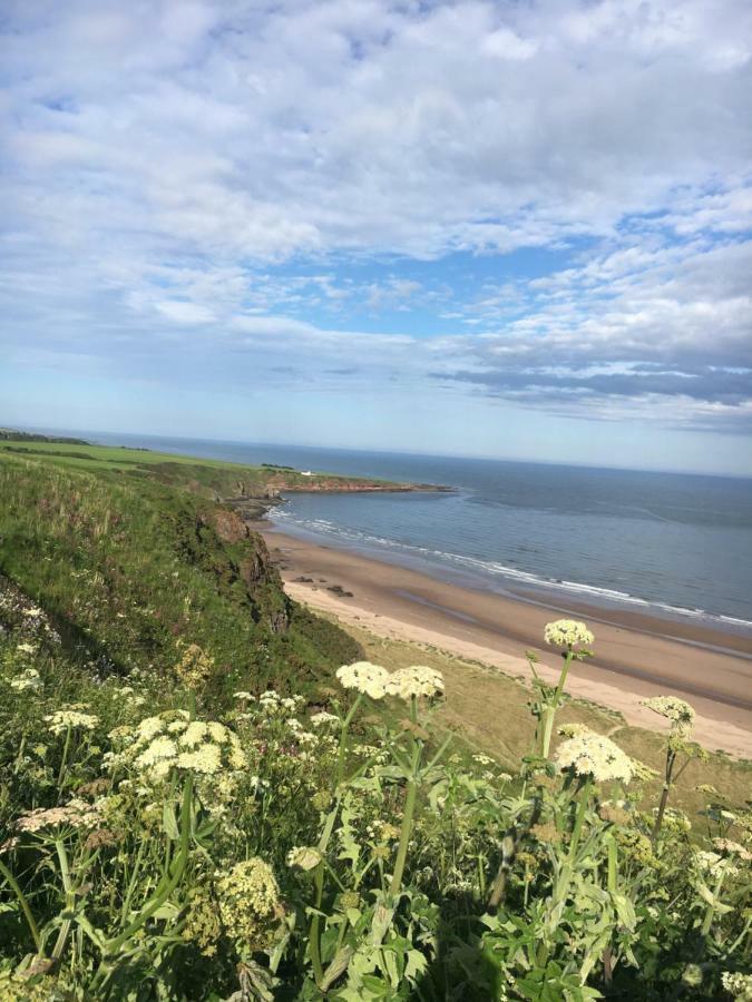 Dunnottar Woods Cottage Stonehaven Esterno foto